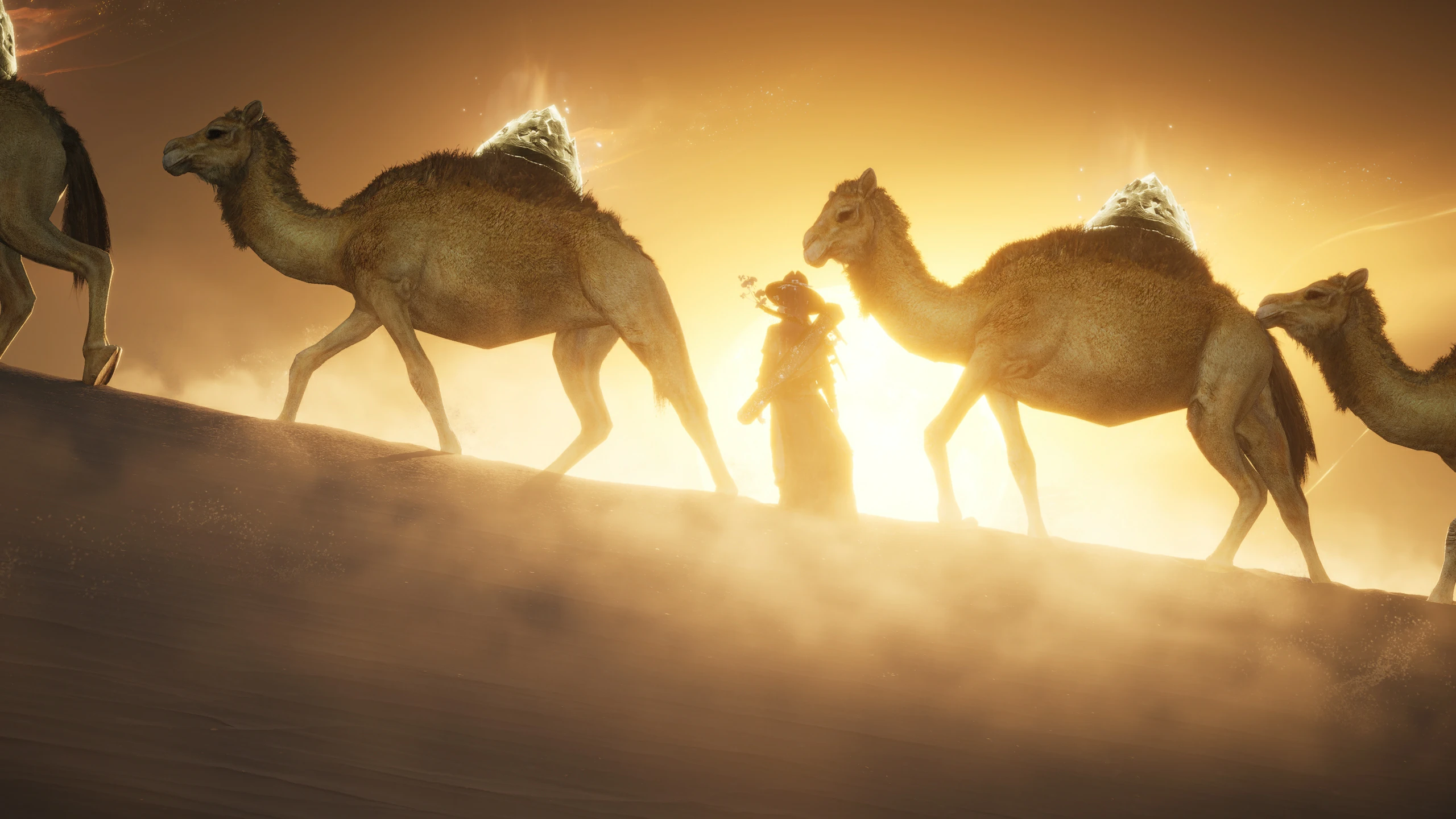 Ye Yu with camels