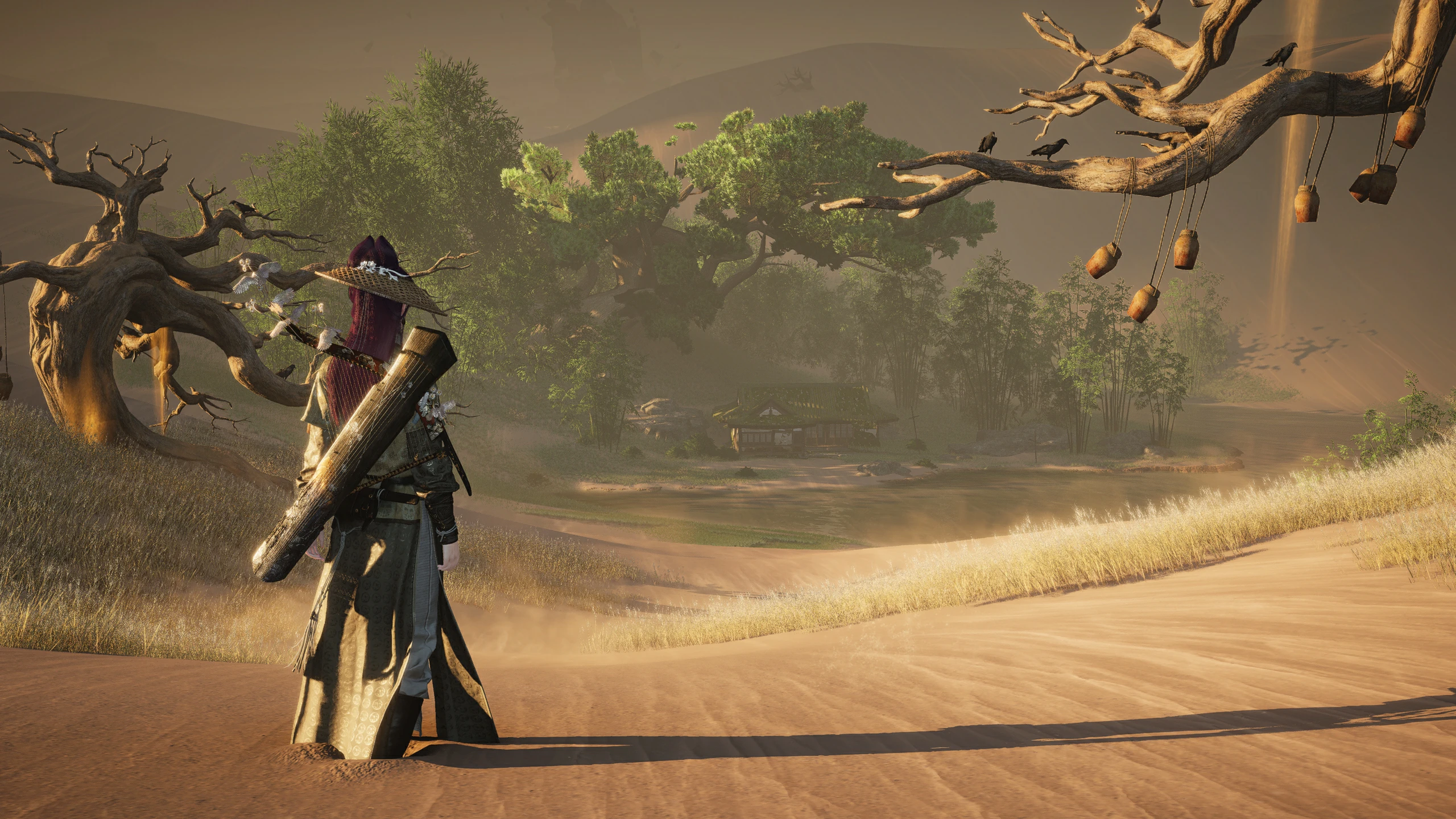 Ye Yu discovering a dried oasis